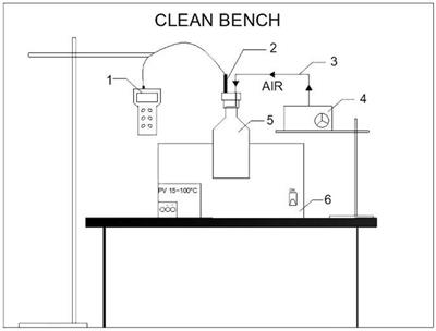 Saturated Dissolved Oxygen Concentration in in situ Fragmentation Bioleaching of <mark class="highlighted">Copper Sulfide</mark> Ores